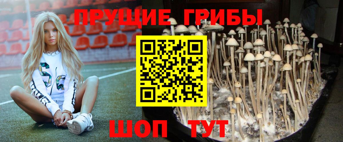 купить  сайты  Вход с VPN  Куйбышев  Псилоцибиновые грибы ЛСД 